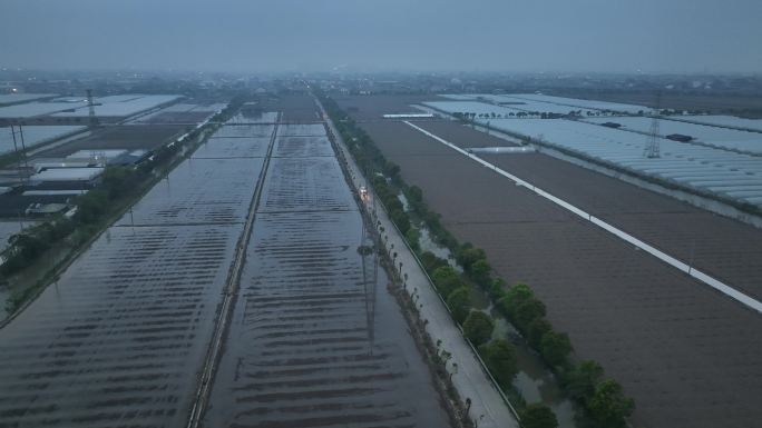 大棚种植地航拍