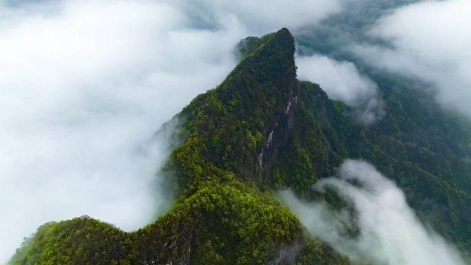 大山 云海