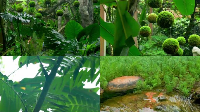 青秀山萌生植物园