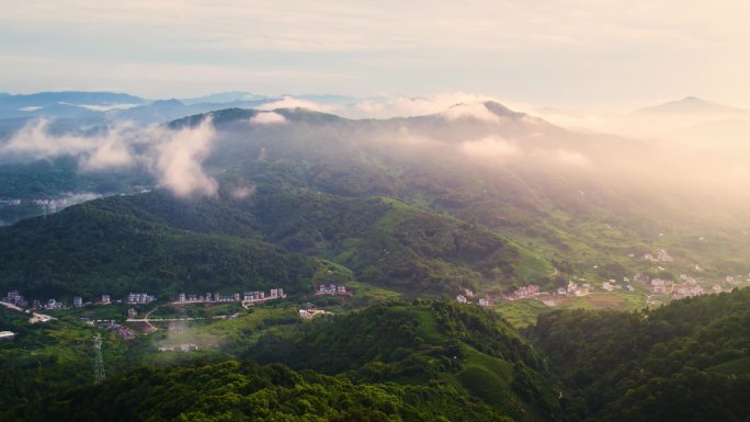 河源龙王嶂茶园航拍视频-4K