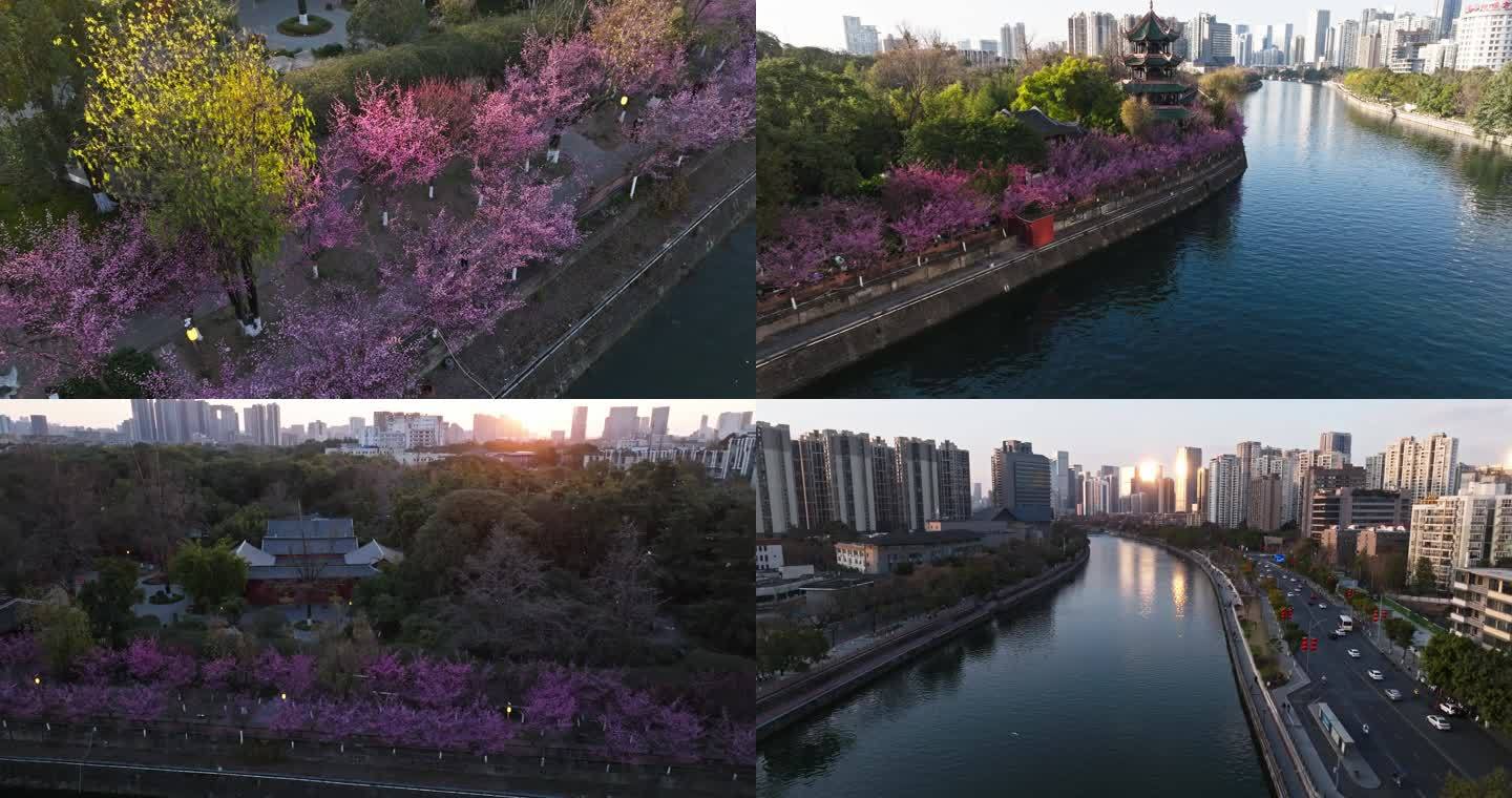 航拍早春的成都望江楼公园美丽风景合集