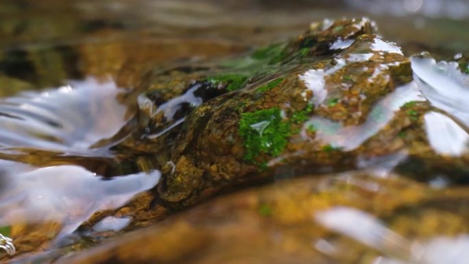 河边流水河流河水小溪山泉泉水水流唯美升格