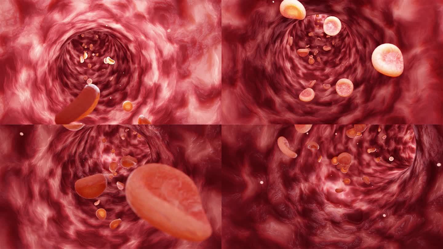 原创静脉血细胞动画-4k