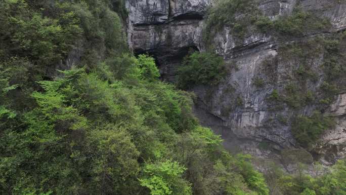 汉中地洞河天坑最美天坑喀斯特地貌户外探险