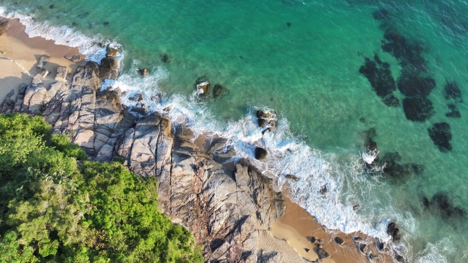 空镜头椰林海岸线