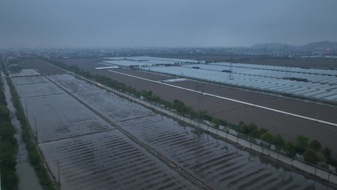 大棚种植地航拍