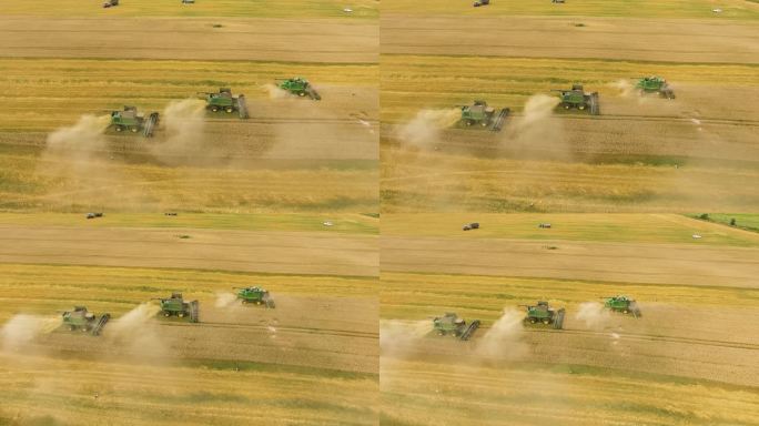 4K航拍农场收割机 收割 成熟的小麦