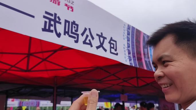 非遗文化旅游节地方美食活动武鸣特产公文包