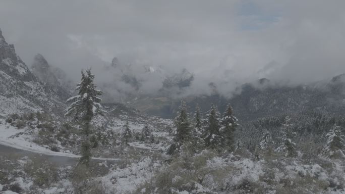 甘肃甘南迭部扎尕那航拍雪景4KDLOG