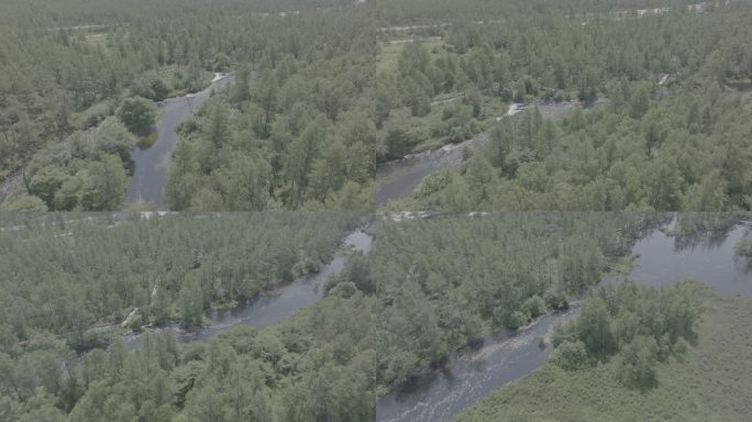 航拍河流森林自然环境湿地公园