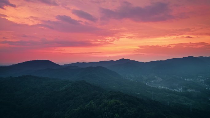 河源龙王嶂茶园航拍视频-4K