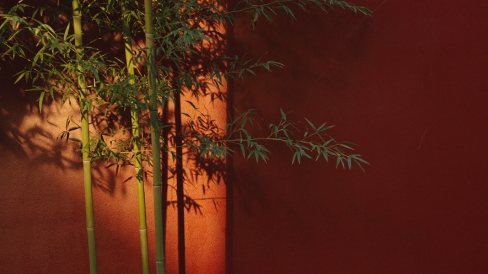 竹子红墙古建筑
