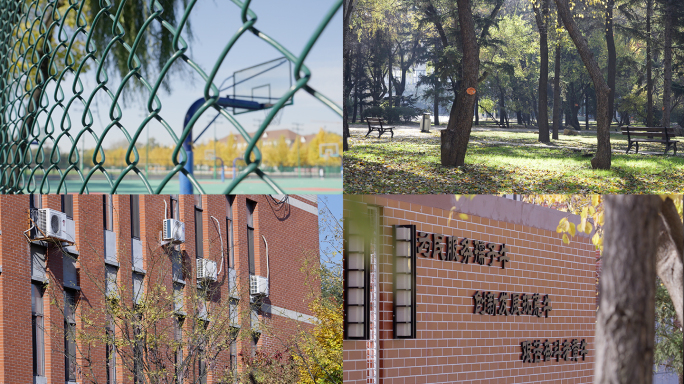 学校教学楼校园办公楼场景