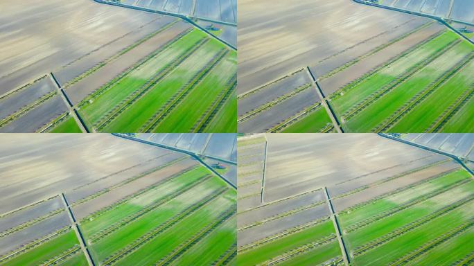 4K航拍实拍带有蔬菜园床的农业地形