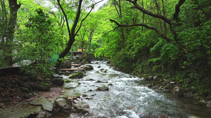 宜春靖安禅源山居10