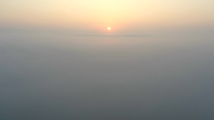 航拍延时-平流雾中的东寨港红树林