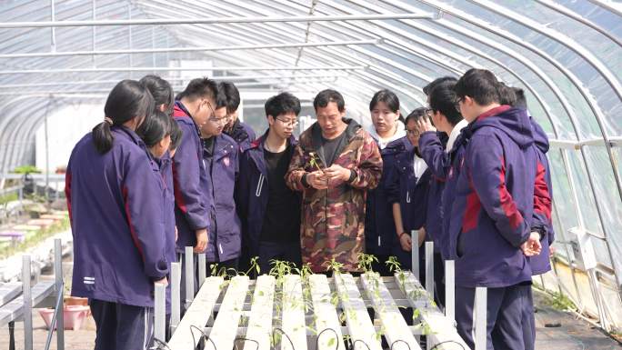 现代农业无土栽培种植培训实拍原素材