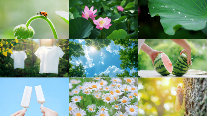 立夏 节气 夏天 夏日