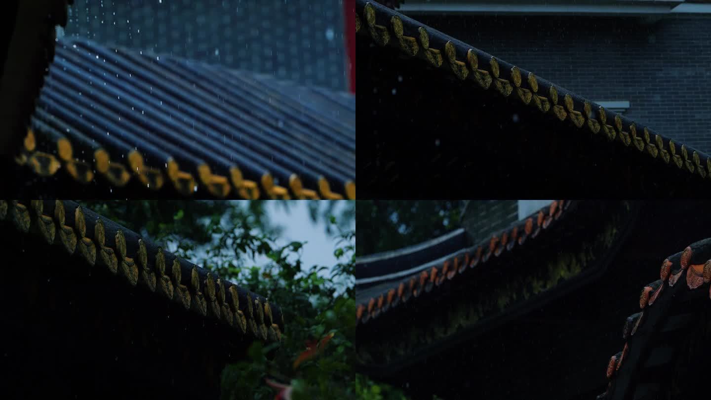 雨天园林雨滴特写