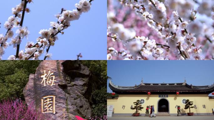 4k-无锡梅园梅花开原寺