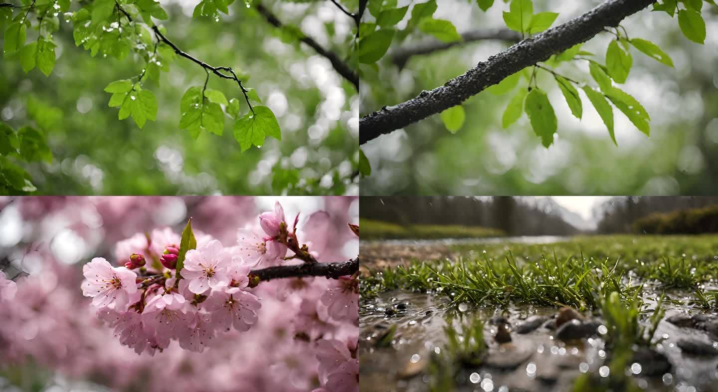 春天谷雨万物生长复苏春景AI