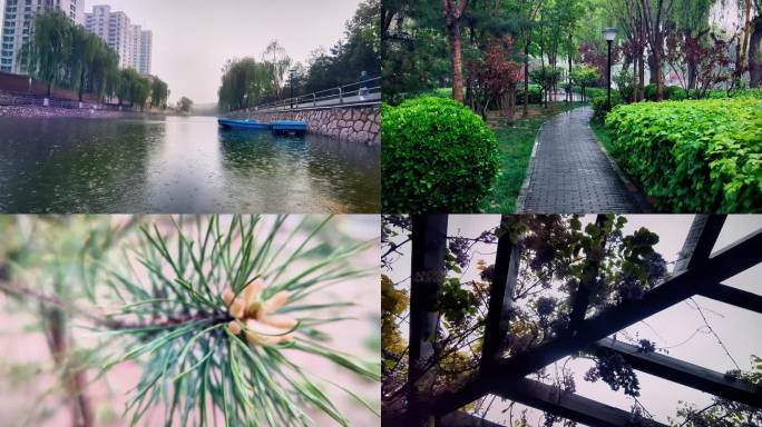 雨中的小河/雨中漫步/雨滴/清新大自然