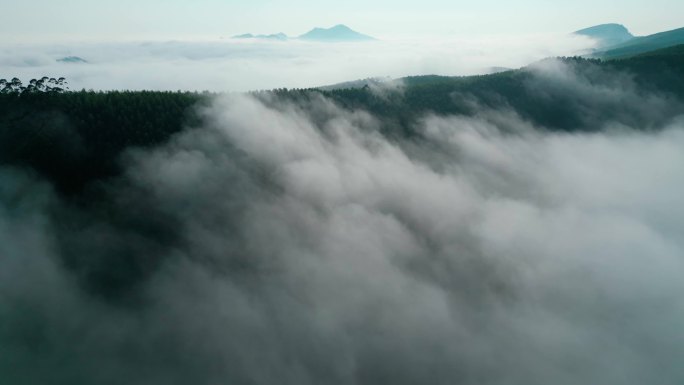 墨韵山景云雾山美丽自然风光