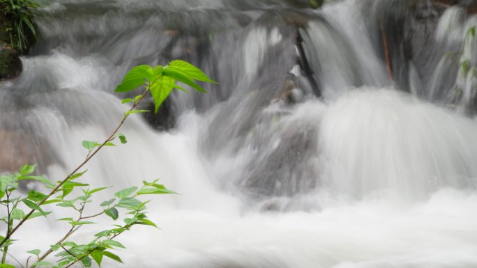 山谷溪流泉水叮咚