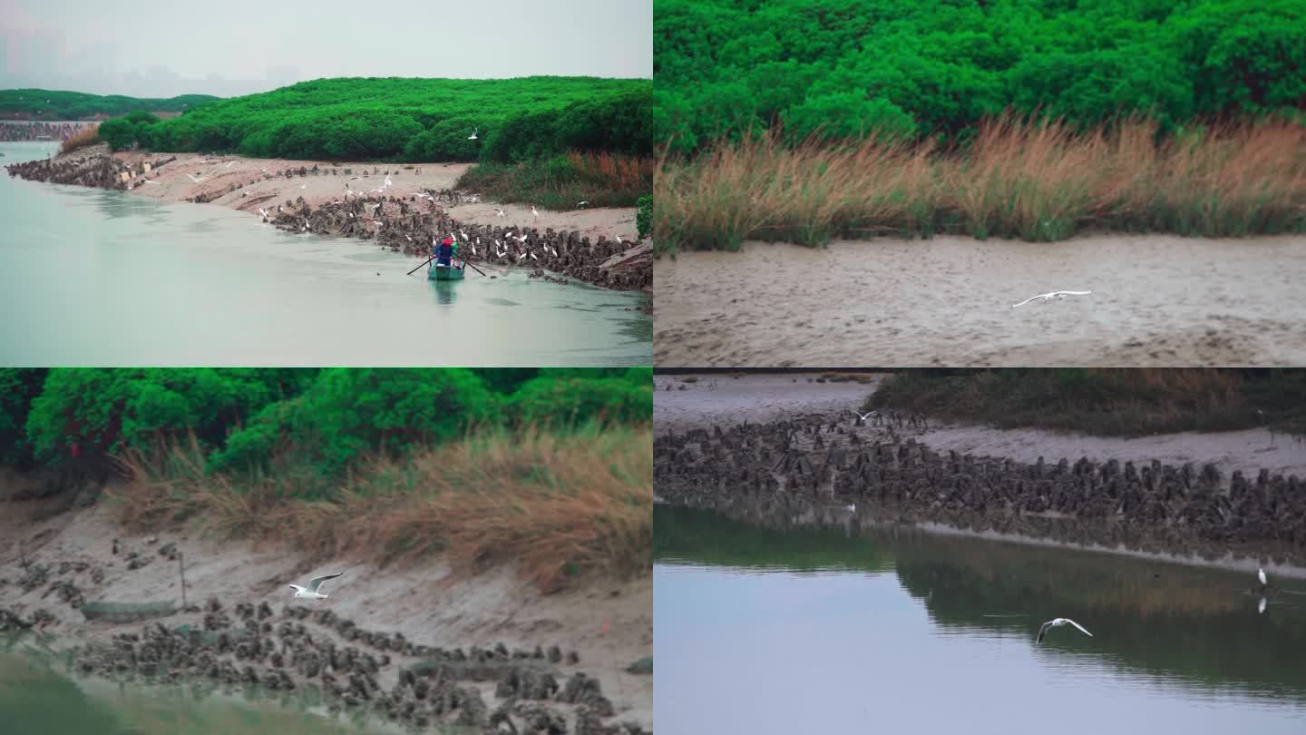 海边下雨的小船和海鸟唯美画面