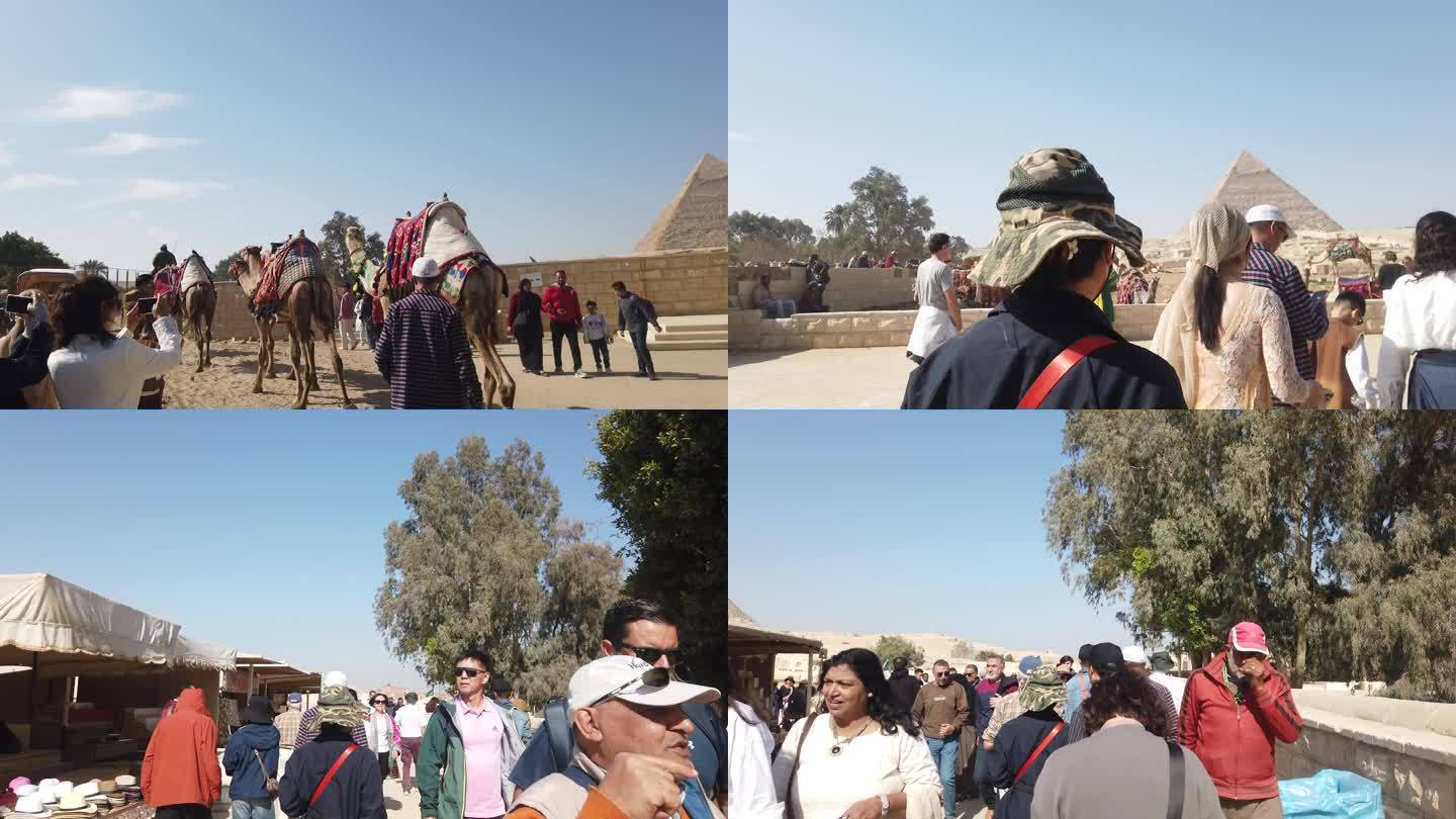 埃及 金字塔 街道 人流 骑骆驼