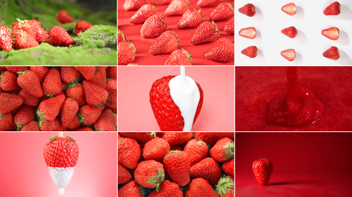 新鲜有机丹东草莓水果牛奶草莓创意广告实拍