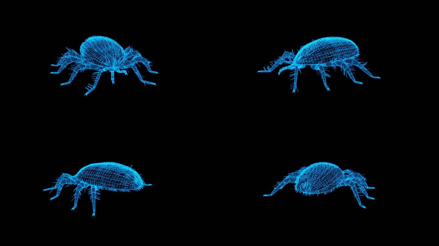 蓝色全息螨虫素材带通道