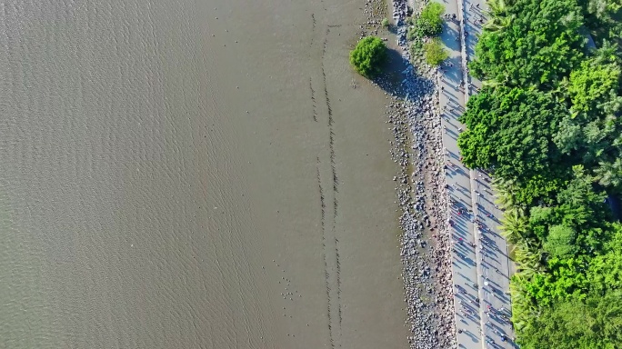 深圳湾公园岸线俯瞰航拍