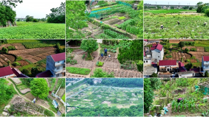 航拍农民菜园田园干农活 村民互帮互助景象