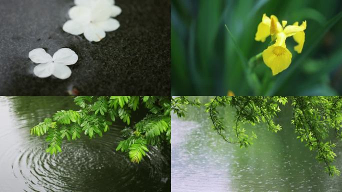 （8镜合集）春雨下雨雨天唯美治愈解压空镜