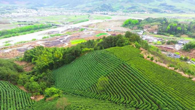 航拍春天安徽美丽空中茶园自然风景合集