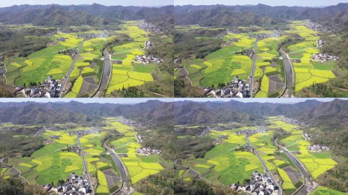 黄山黟县革命老区柯村