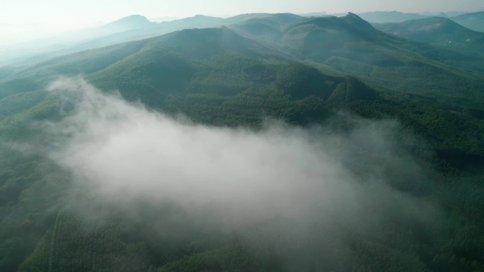 美丽自然风光航拍山景雾景