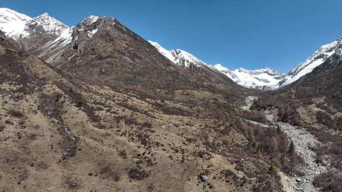 4K 原始素材 川西 结斯沟 雪山 草地