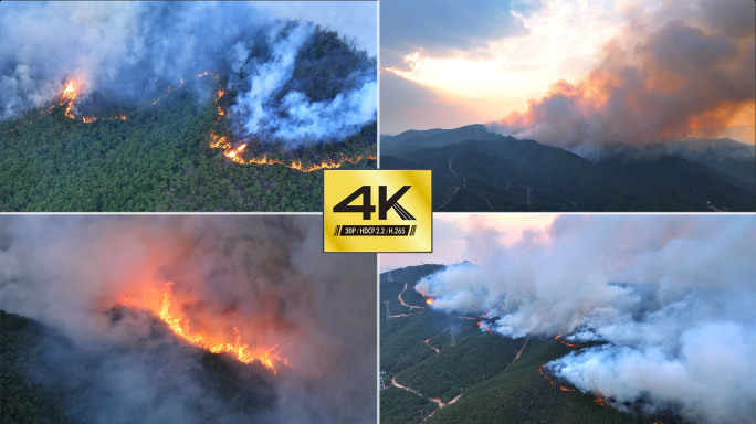 【实拍】森林大火 突发山火
