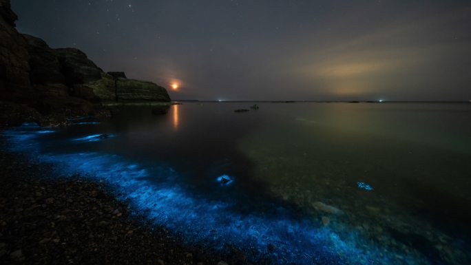 大连荧光海延时