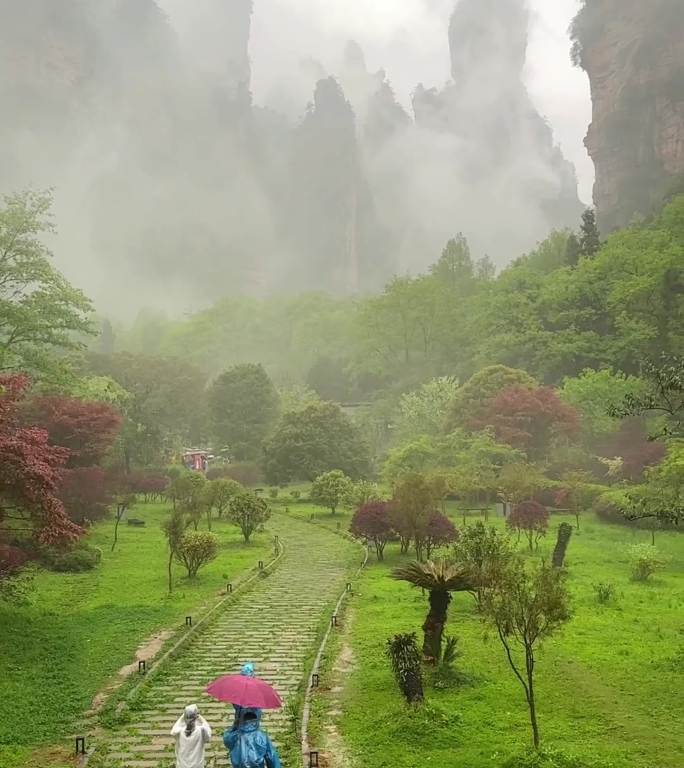 张家界国家森林公园大氧吧广场雨景云雾