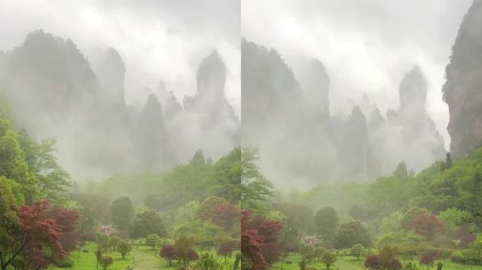 张家界国家森林公园大氧吧广场雨景云雾