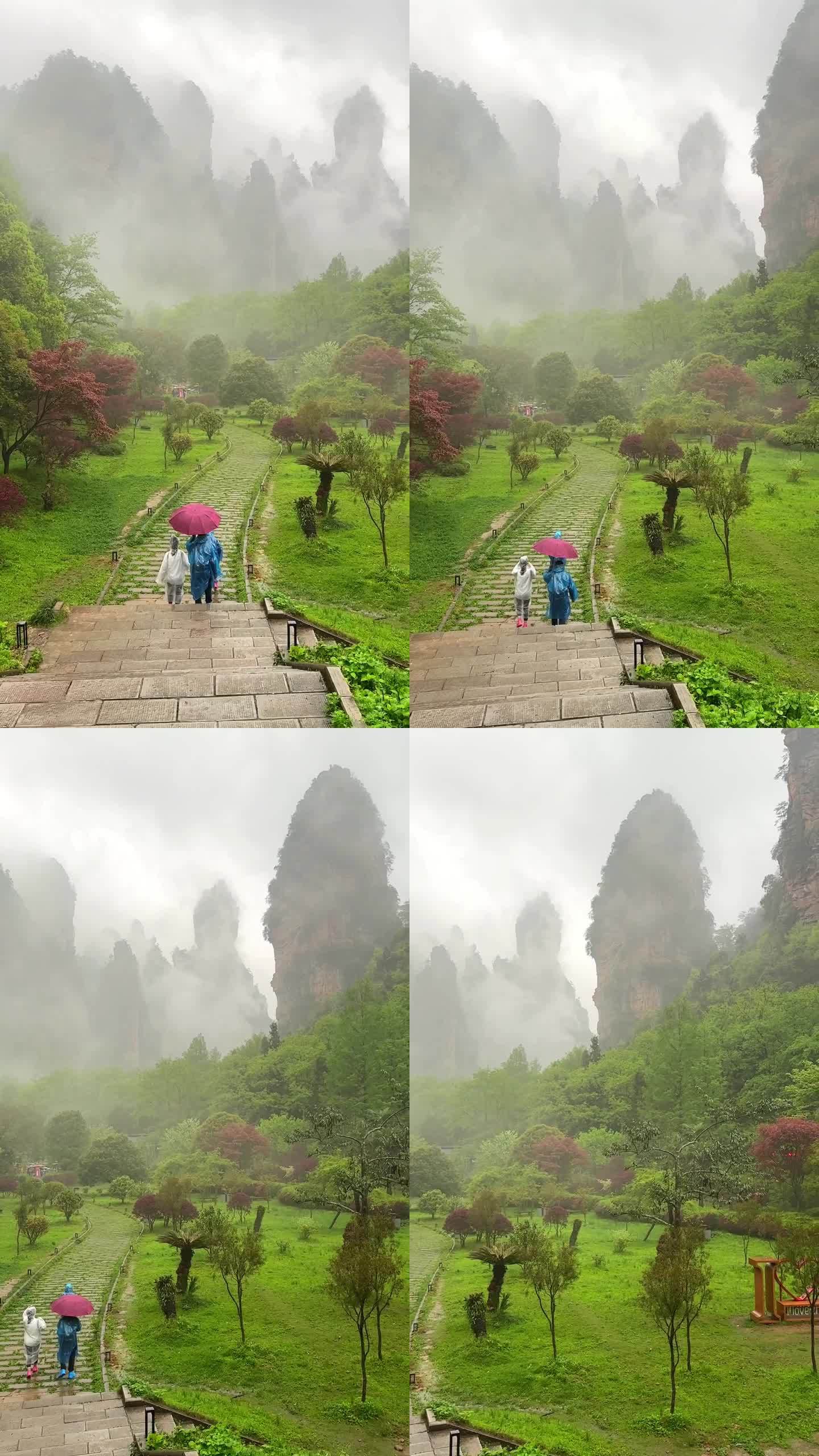 张家界国家森林公园大氧吧广场雨景云雾