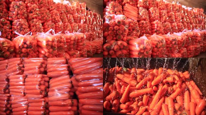 胡萝卜交易市场
