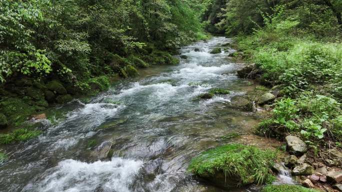 山谷中的小溪