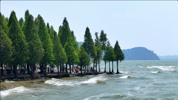 昆明捞鱼河湿地公园 七彩云南欢乐世界