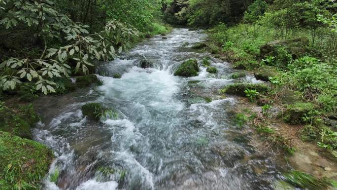 小溪流水