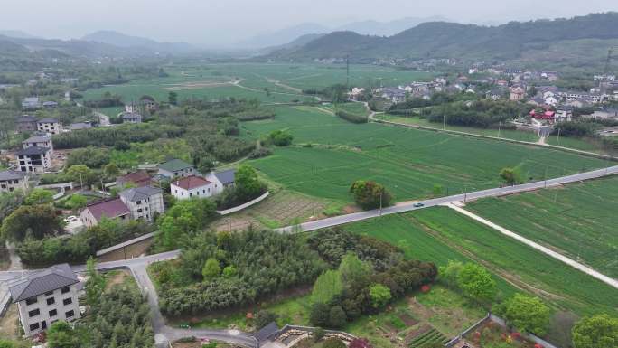 4k4月上旬阴天青山村生态大草坪公园