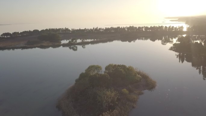 太湖贡湖湾湿地公园航拍素材